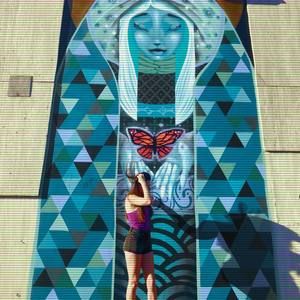 Meet your Posher, Ronnie